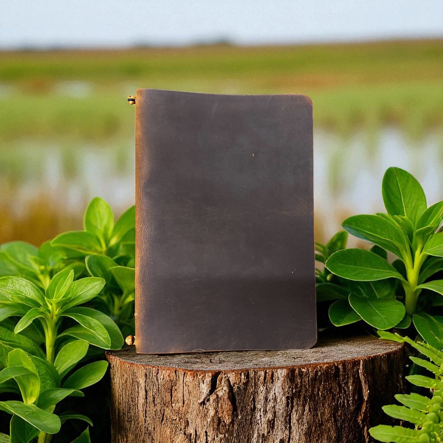 Journal - Plain